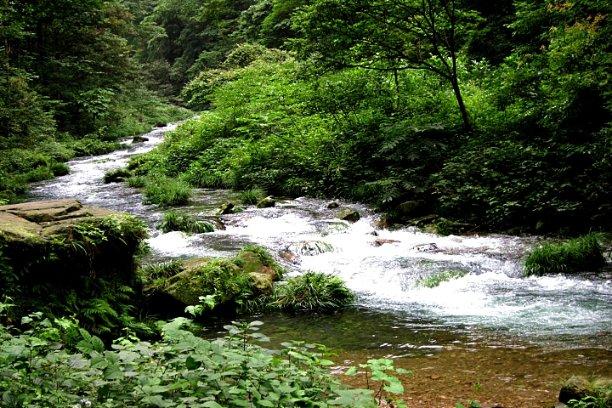 五彩泡沫